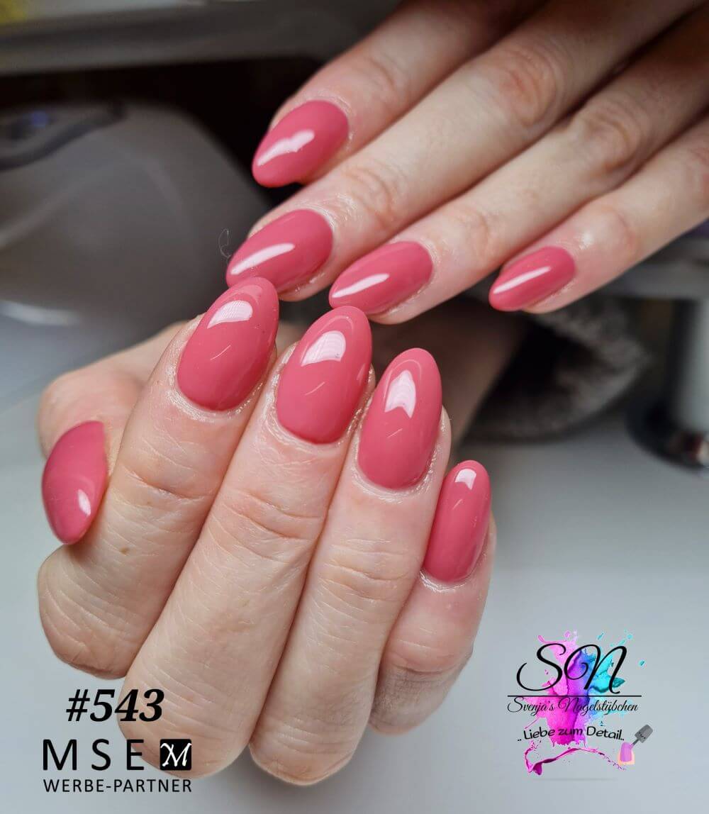 #543 Premium-PURE Color Gel 5ml Rosa - MSE - The Beauty Company