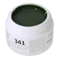 #341 Gel Couleur Premium-PURE 5ml Vert Sapin Foncé