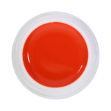 #123 Premium-PURE Color Gel 5ml Leuchtendes Orange - MSE - The Beauty Company