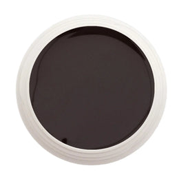 #202 Premium-PURE Color Gel 5ml Dunkles Grauviolett