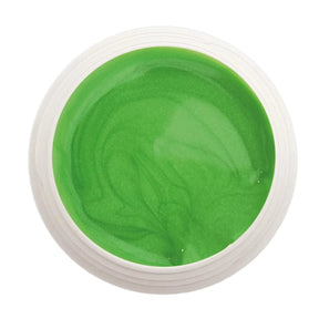 #689 Premium-EFFEKT Color Gel 5ml Grün - MSE - The Beauty Company