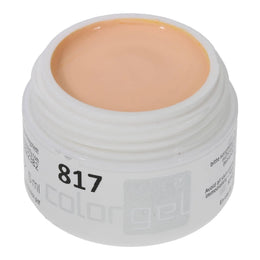 #817 Premium-PURE Color Gel 5ml Rosa